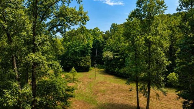 4.06 A Licklog Trail, Ellijay, GA 30536