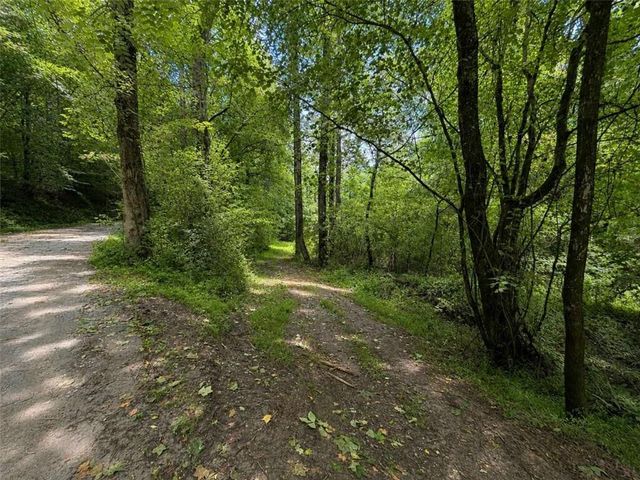 4.06 A Licklog Trail, Ellijay, GA 30536