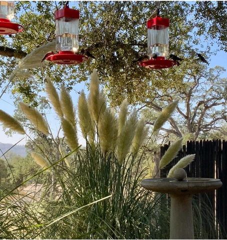 43656 Crystal Cave Circle, Coarsegold, CA 93614