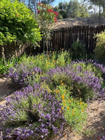 43656 Crystal Cave Circle, Coarsegold, CA 93614