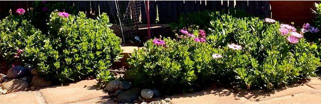 43656 Crystal Cave Circle, Coarsegold, CA 93614