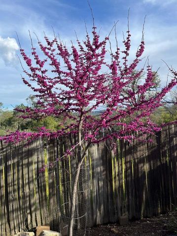 43656 Crystal Cave Circle, Coarsegold, CA 93614