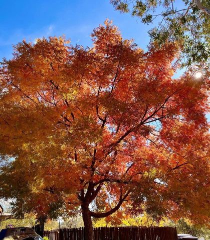 43656 Crystal Cave Circle, Coarsegold, CA 93614