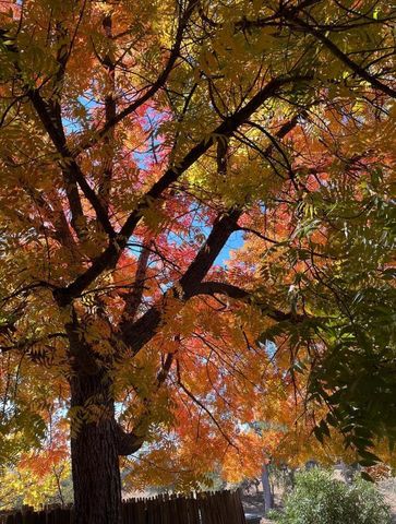 43656 Crystal Cave Circle, Coarsegold, CA 93614