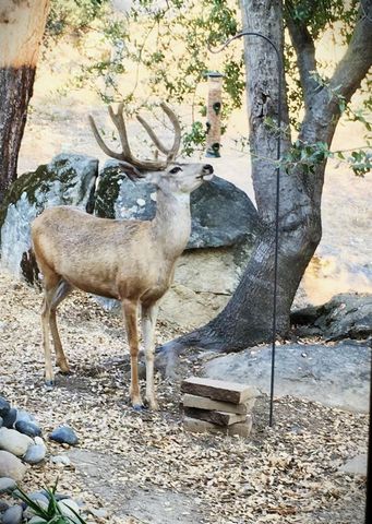 43656 Crystal Cave Circle, Coarsegold, CA 93614