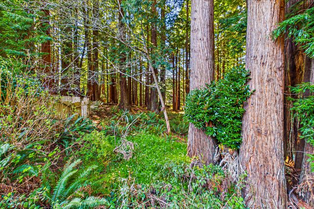 751 Patrick Court, Arcata, CA 95521