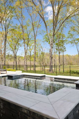 9052 Passiflora Ct, College Grove, TN 37046