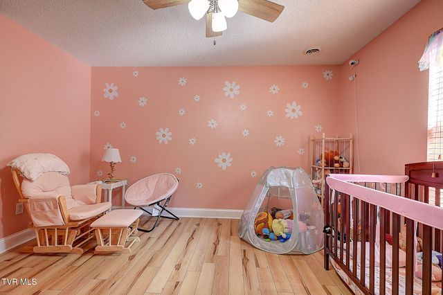 317 Henrys Lane, Bristol, VA 24202