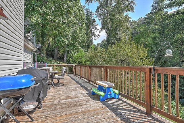 317 Henrys Lane, Bristol, VA 24202