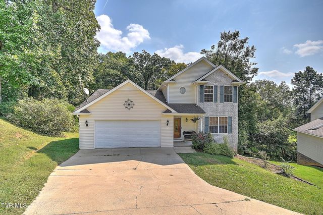 317 Henrys Lane, Bristol, VA 24202