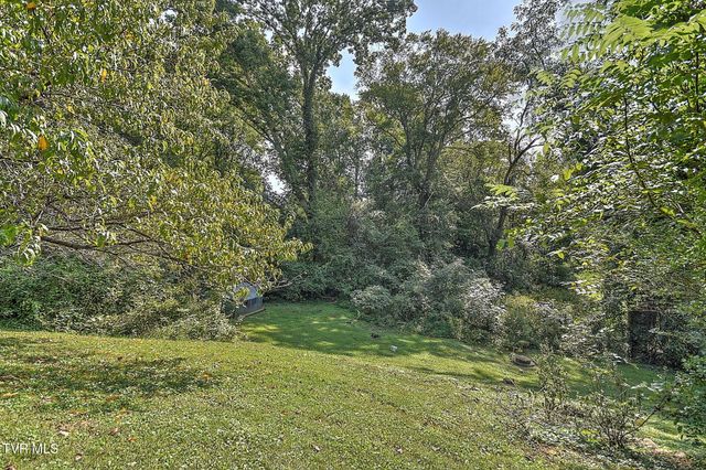 317 Henrys Lane, Bristol, VA 24202