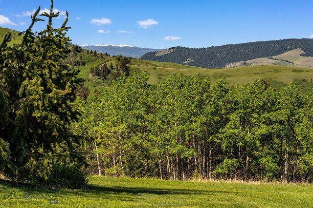 303 S Big Elk Meadow Road, Gallatin Gateway, MT 59730