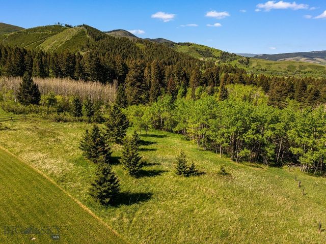 303 S Big Elk Meadow Road, Gallatin Gateway, MT 59730