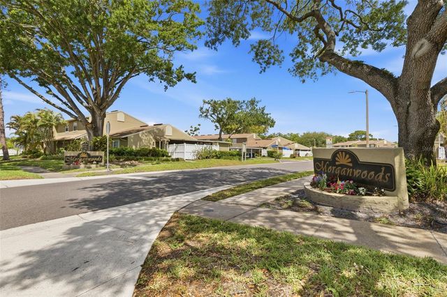 7103 CORONADO COURT, Tampa, FL 33615