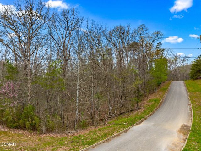 106 Turtle Dove Trail, Dandridge, TN 37725