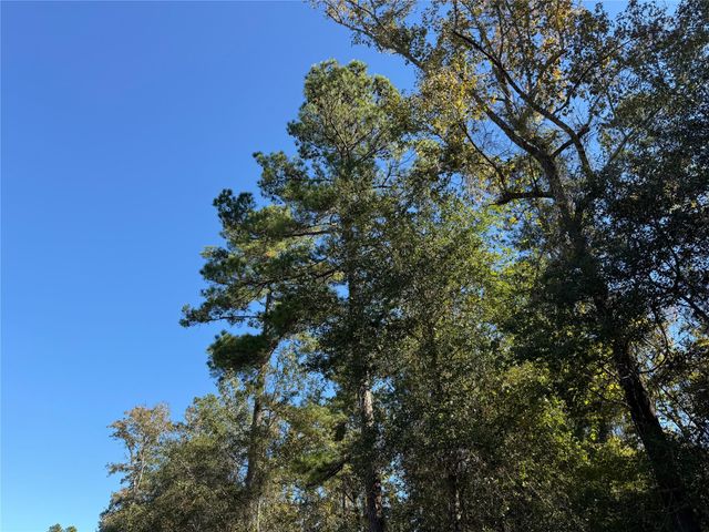 T-1 Eldridge Road, Cleveland, TX 77328