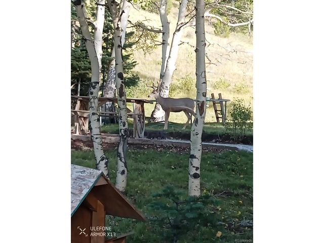 274 County Road 356, Westcliffe, CO 81252