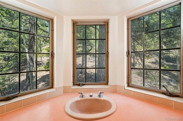 11793 Braun Way, Conifer, CO 80433