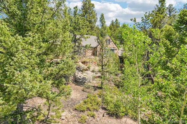 11793 Braun Way, Conifer, CO 80433