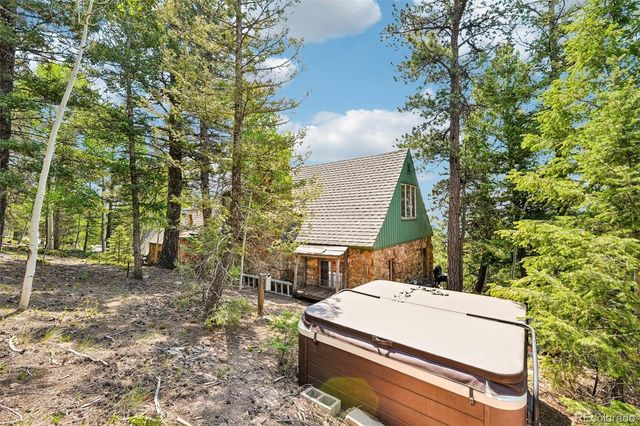 11793 Braun Way, Conifer, CO 80433