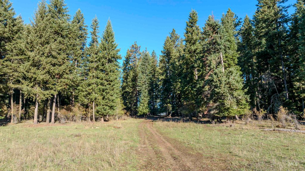 NKA 320acs Summer Rd, Orofino, ID 83544 photo 12