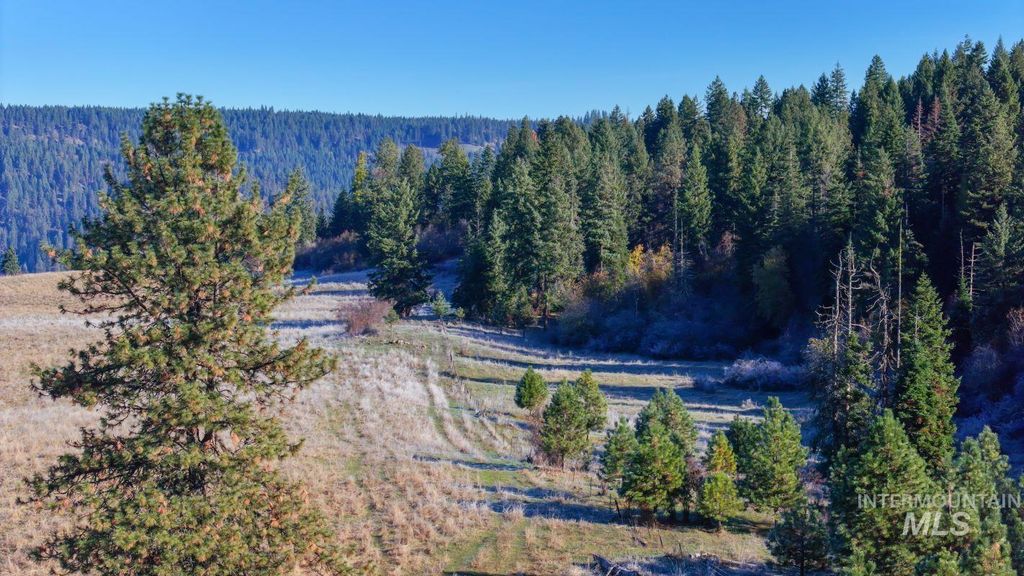 NKA 320acs Summer Rd, Orofino, ID 83544 photo 14