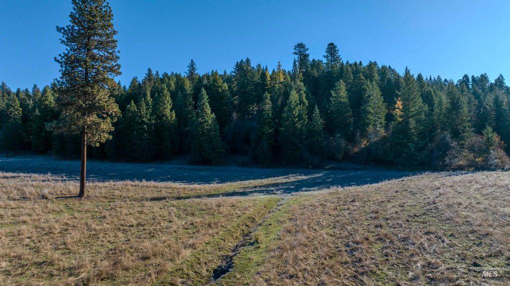 NKA 320acs Summer Rd, Orofino, ID 83544 photo 15