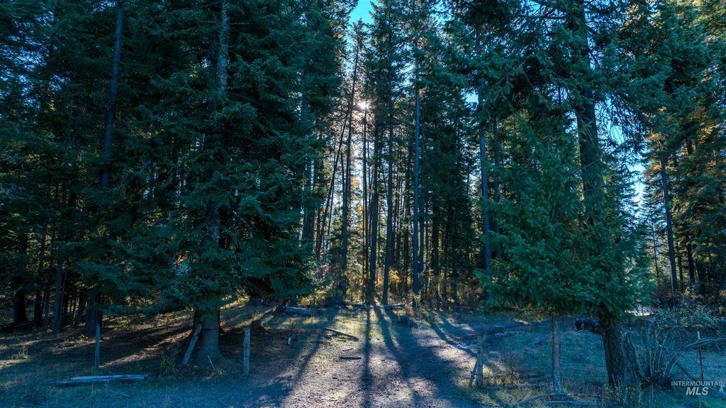 NKA 320acs Summer Rd, Orofino, ID 83544 photo 17
