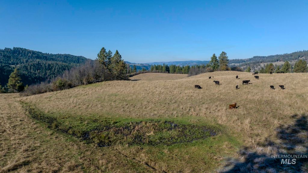 NKA 320acs Summer Rd, Orofino, ID 83544 photo 24