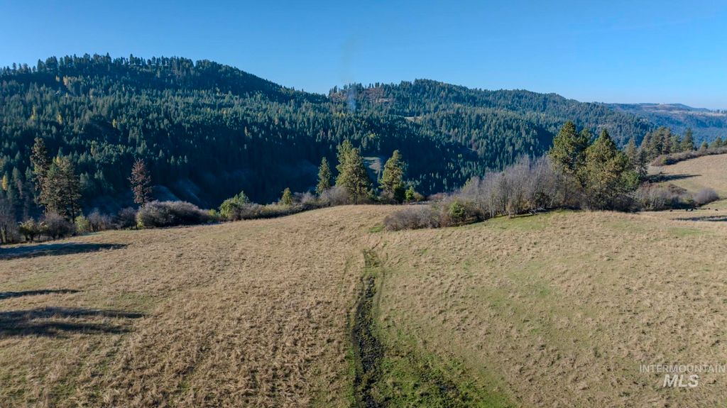 NKA 320acs Summer Rd, Orofino, ID 83544 photo 26
