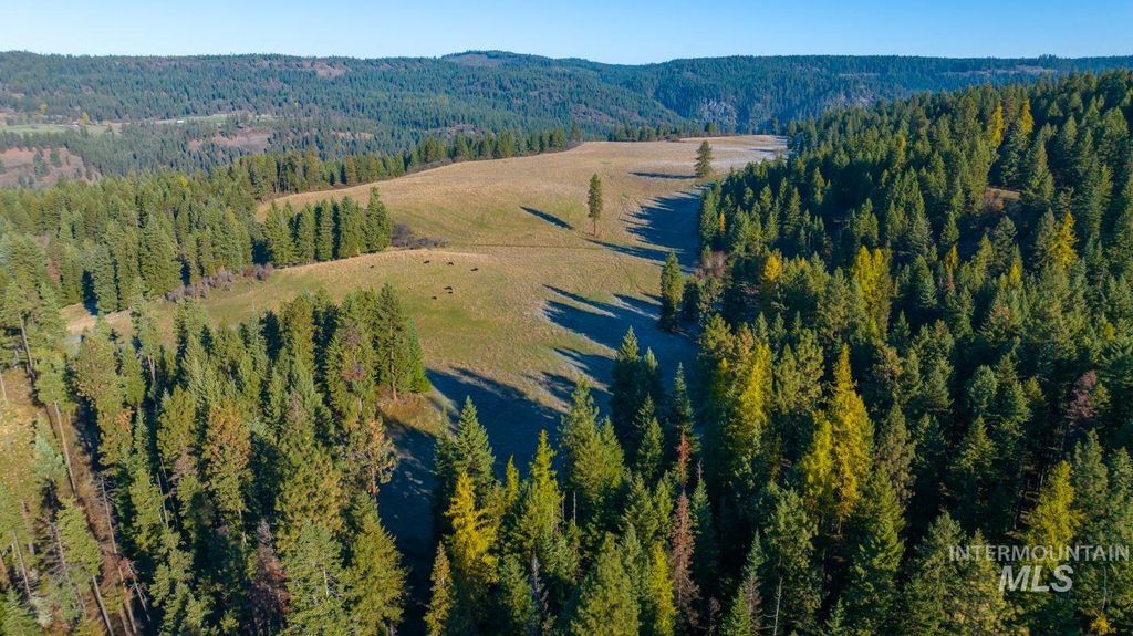 NKA 320acs Summer Rd, Orofino, ID 83544 photo 3