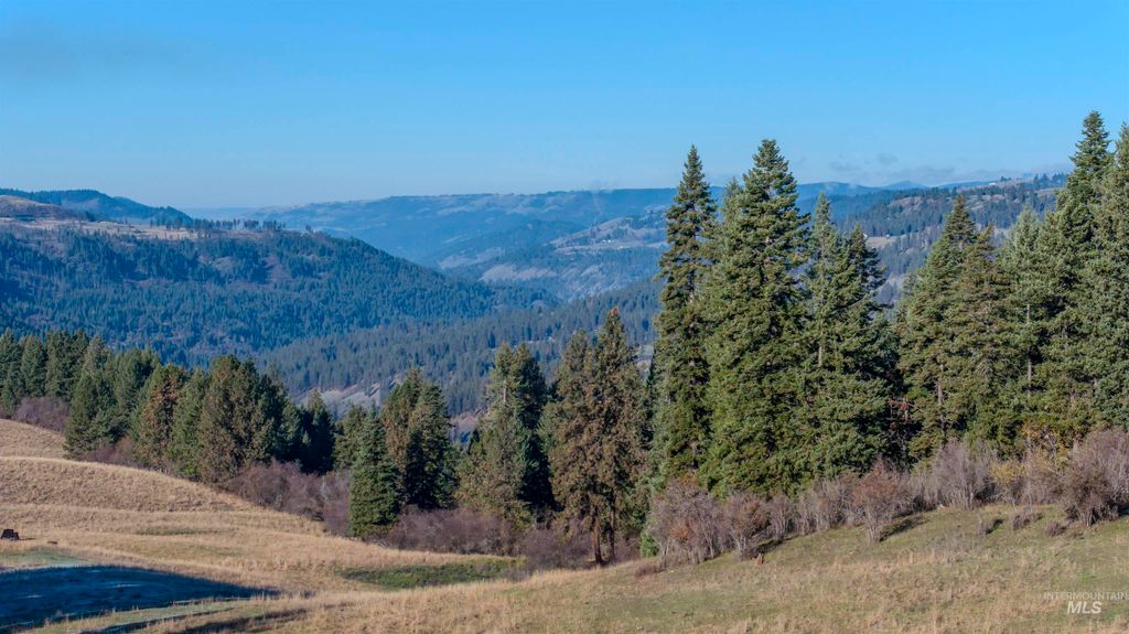 NKA 320acs Summer Rd, Orofino, ID 83544 photo 5