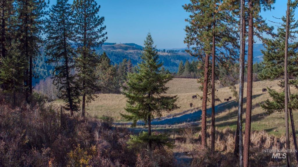 NKA 320acs Summer Rd, Orofino, ID 83544 photo 6
