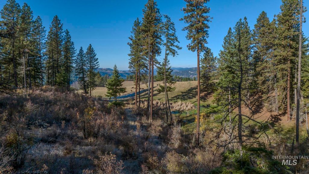 NKA 320acs Summer Rd, Orofino, ID 83544 photo 7