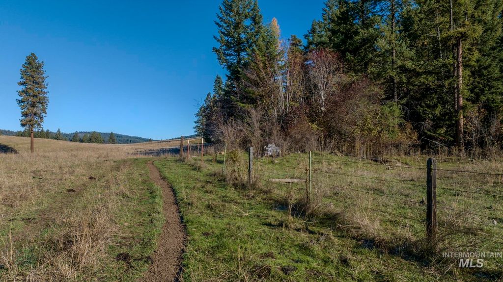 NKA 320acs Summer Rd, Orofino, ID 83544 photo 8