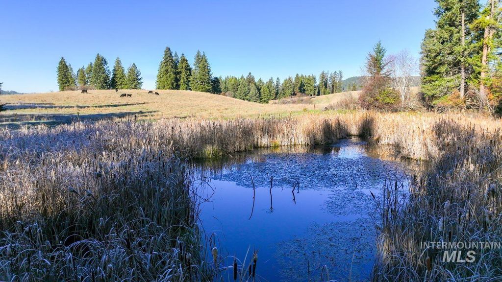 NKA 320acs Summer Rd, Orofino, ID 83544 photo 9