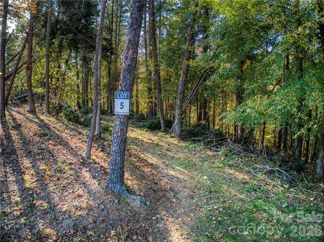 152 Fox Hunt Drive 5, Mooresville, NC 28117