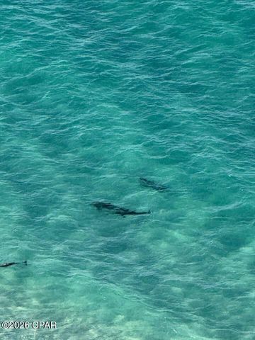 16701 Front Beach Road 805, Panama City Beach, FL 32413