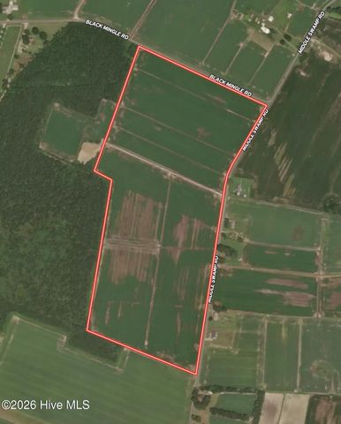 0 Middle Swamp Road, Gates, NC 27937