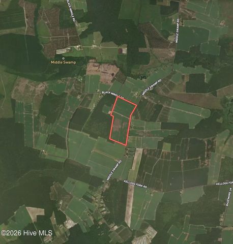 0 Middle Swamp Road, Gates, NC 27937