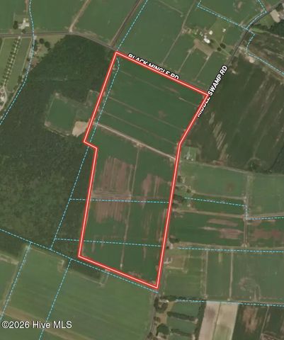 0 Middle Swamp Road, Gates, NC 27937