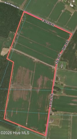 0 Middle Swamp Road, Gates, NC 27937