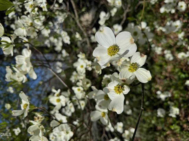 7117 North Ridge Drive, Raleigh, NC 27615