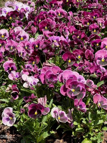 7117 North Ridge Drive, Raleigh, NC 27615