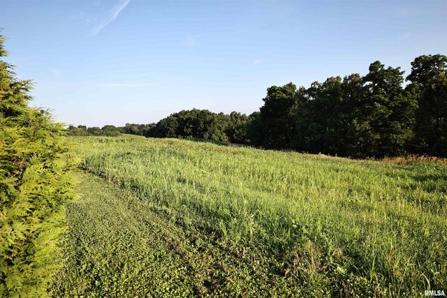 42060 County Highway 10, Nebo, IL 62355