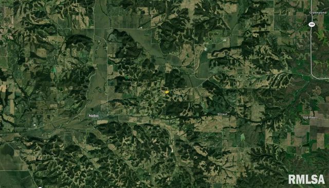 42060 County Highway 10, Nebo, IL 62355