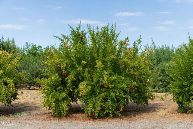 3001 Long Valley Road, Santa Ynez, CA 93460