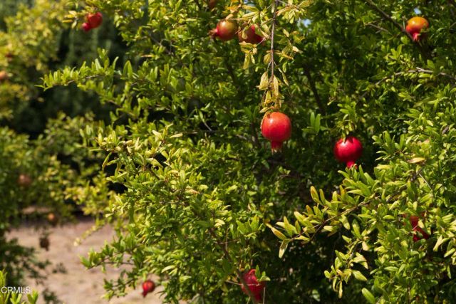 3001 Long Valley Road, Santa Ynez, CA 93460