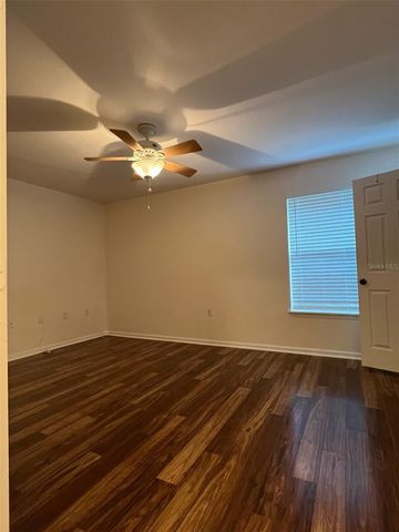 16311 PARKSTONE PALMS COURT, Tampa, FL 33647