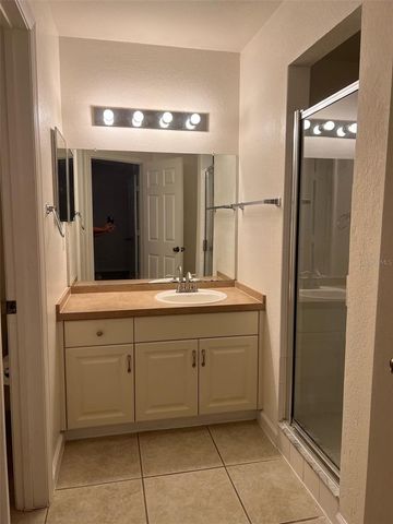 16311 PARKSTONE PALMS COURT, Tampa, FL 33647